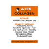 Peptan Multi-Peptide Collagen Type 1, 2 & 3 - Equine - Image 2