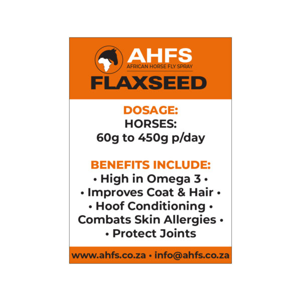 Flaxseed / Linseed - Image 2