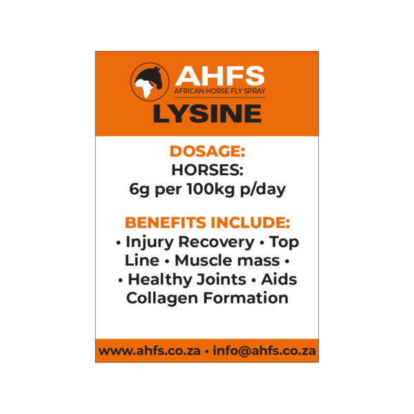 Lysine - Image 2