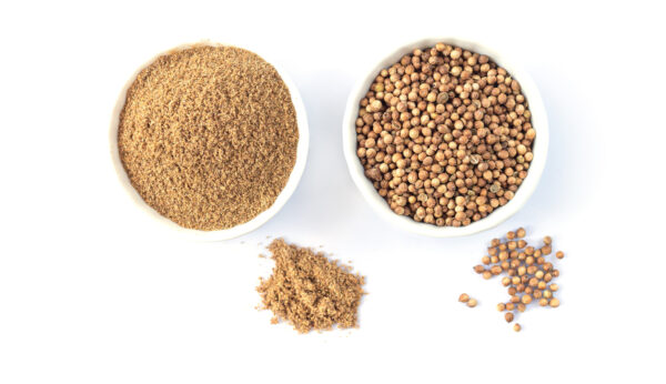 Coriander