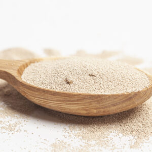 Brewers Yeast