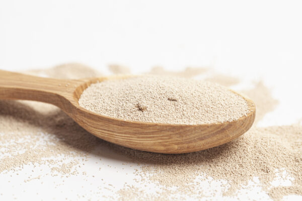 Brewers Yeast