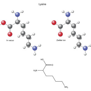 Lysine