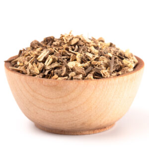 Echinacea