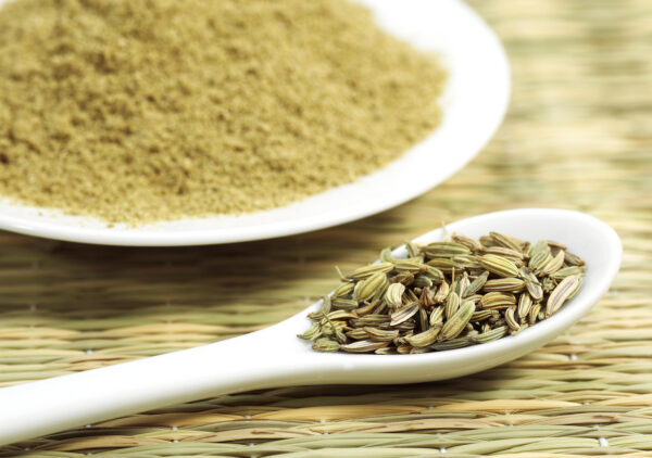 Fennel Seeds