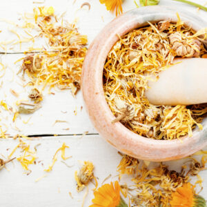 Calendula Flower
