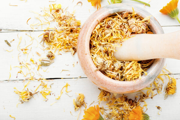 Calendula Flower