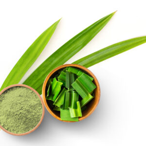 Aloe Vera Ground