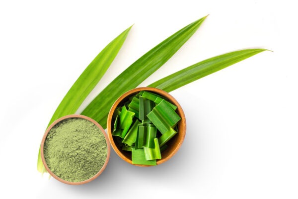 Aloe Vera Ground