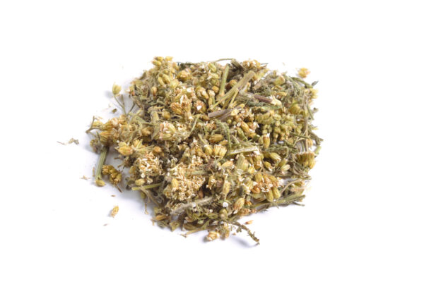Yarrow