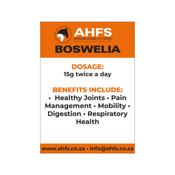 Boswellia (Frankincense Tree) - Image 2