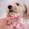 K9 Itchy Spray - Image 3
