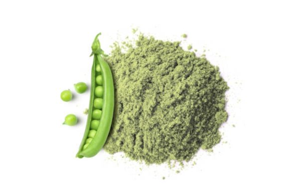 Pea powder protein