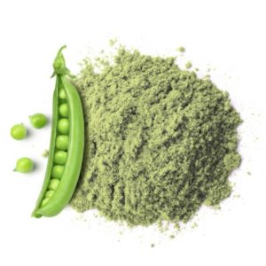 Pea powder protein