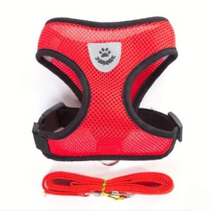 Cat / Dog Harness