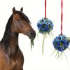 Horse feeding ball - Image 3