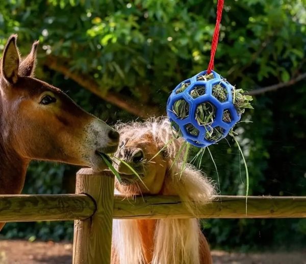 Horse feeding ball - Image 2