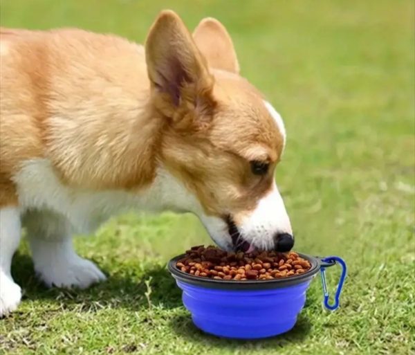 Portable Folding Water Bowl (PFW1) - Image 3