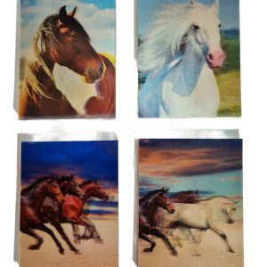 Mini Note Book 3D (2)