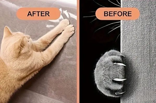 10pcs Cat Scratch Sofa Protector Stickers - Image 2