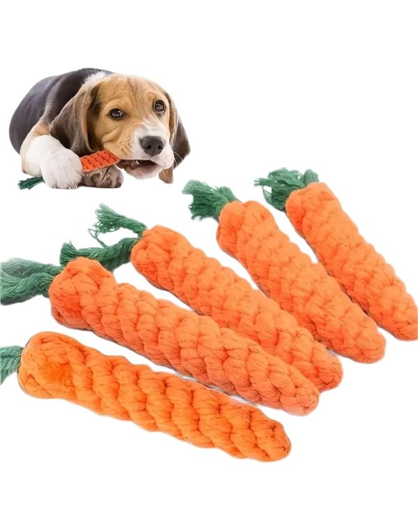 Medium Breed Carrot Dog Chew Toy