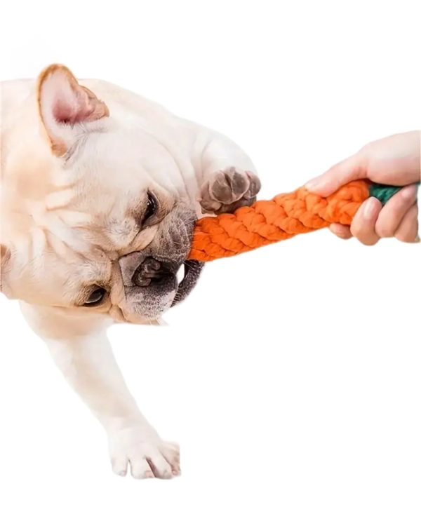 Medium Breed Carrot Dog Chew Toy - Image 2