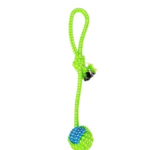 Dog Rope Knot Toy