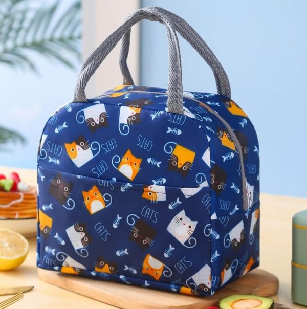 Reusable Waterproof Insulated Lunch Bag (CL2)