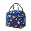 Reusable Waterproof Insulated Lunch Bag (CL2) - Image 3