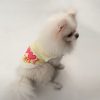 Summer Pet Clothing (ILU1) - Image 3
