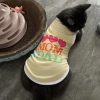 Summer Pet Clothing (ILU1) - Image 2
