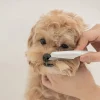 Pet Flea Comb (PFC1) - Image 2