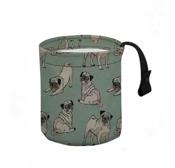 Car Trach Can Pug (CTC4)