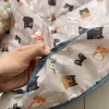 Interactive Cat Toy 1 (CT1) - Image 2