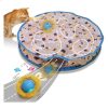Interactive Cat Toy 1 (CT1)