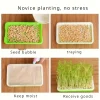Micro-Green Seed Tray for Cats (MST1) Large - Image 2
