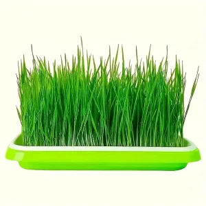 Micro-Green Seed Tray for Cats (MST1) Small