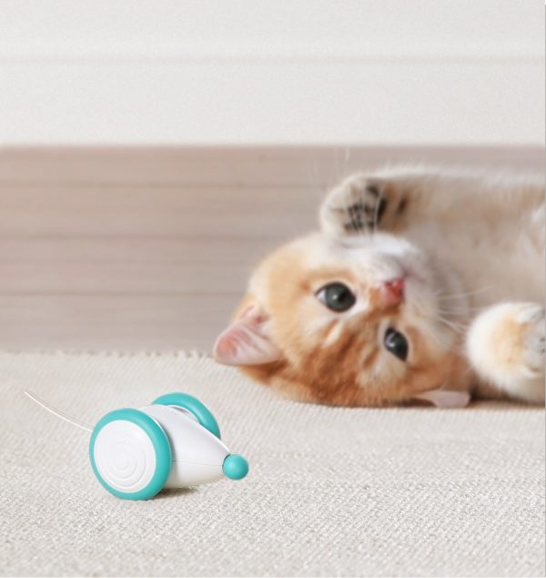 Interactive Cat Toy with Glowing Tail Mouse - Image 4