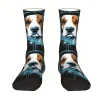 Beagle Pattern Socks (DBS8) - Image 2