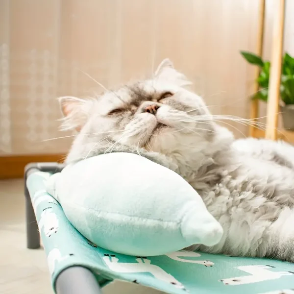 Portable Cat & Dog Hammock Bed 1 (CDHB1) - Image 3