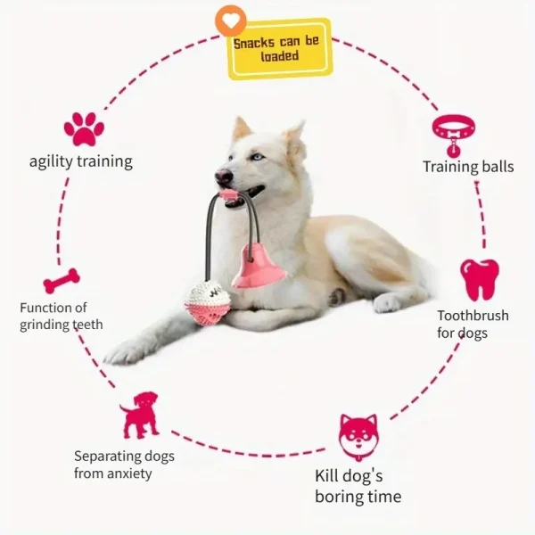 Suction Cup and Pull Ball Dog Toy (DCT6) - Image 6