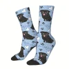 Pug Dog Pattern Socks (DBS9) - Image 4