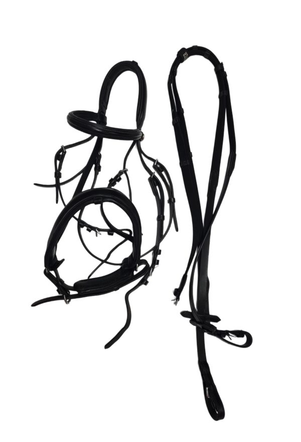 Keiffer Black Flash Bridle with Web Reins WB Size (A30.21)
