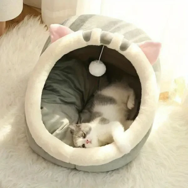 Dog Cat Semi-Closed Bed Large (DCB21)