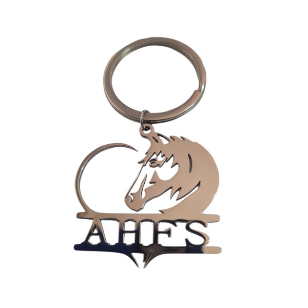 AHFS Keychain (ALK2)