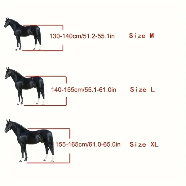 Set of 4 Tendon Boots XL (HTB2) - Image 2