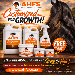 Customized Mane and Tail - Weekend Special