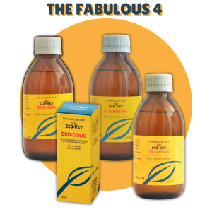 The Fabulous 4 (Heal, Colic, Immune, Fear)