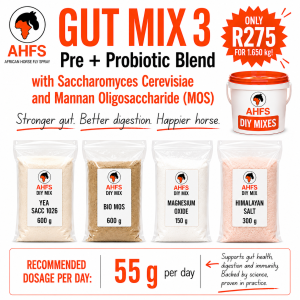 DIY Gut Mix 3 (Synbiotic Formula)