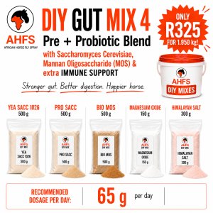 DIY Gut Mix 4 (Advanced Synbiotic Formula)